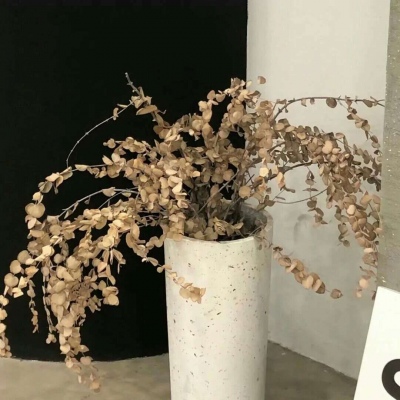 Furry绘画工具推荐兽圈社群